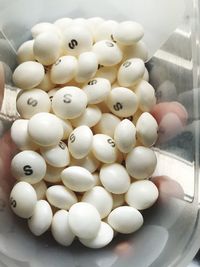 High angle view of eggs in container