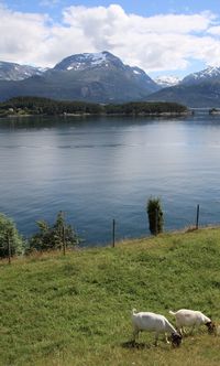 Scenic view of lake by mountains against sky