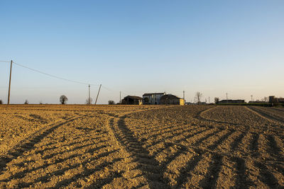 Scenic view of agricultural field against clear sky