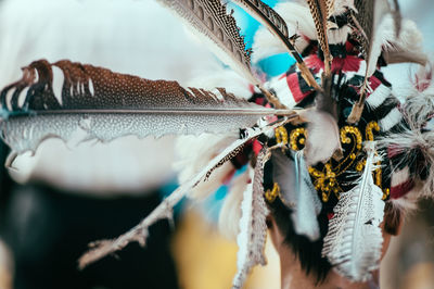 Rear view of person wearing tribal headdress