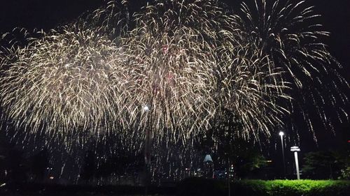 Low angle view of fireworks against sky at night