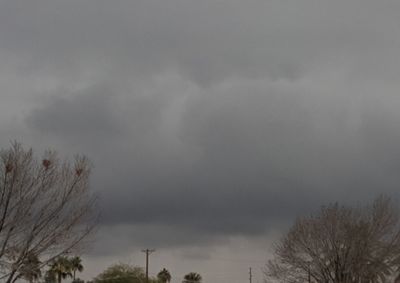 Low angle view of bare trees against sky