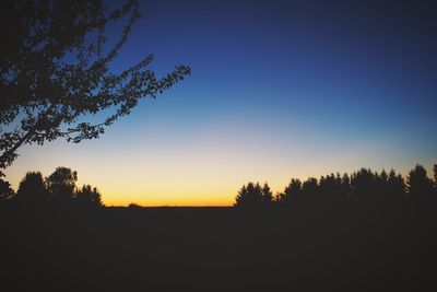 Silhouette trees against sky at sunset