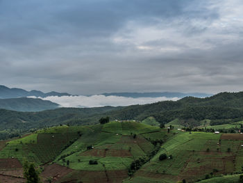 Scenic view of agricultural field against sky