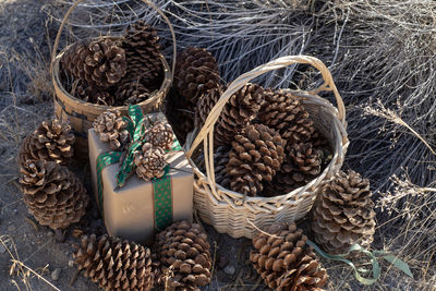 Close-up of dried plant in basket on table