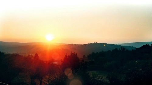Sun shining through trees