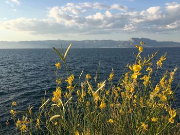 Scenic view of sea against sky
