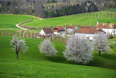Scenic view of field against trees and houses