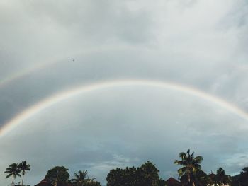 Low angle view of rainbow over trees against sky