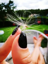 Close-up of hand holding flower against sky