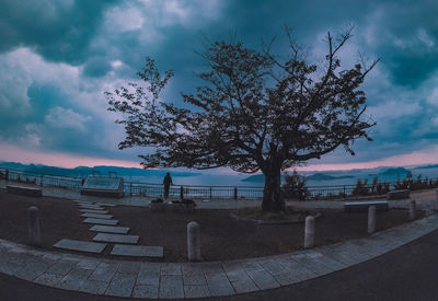 Tree by built structure against sky