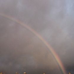 Silhouette of trees against cloudy sky