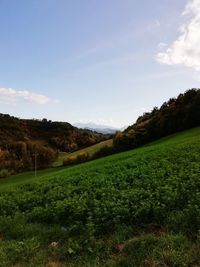 Scenic view of landscape against sky