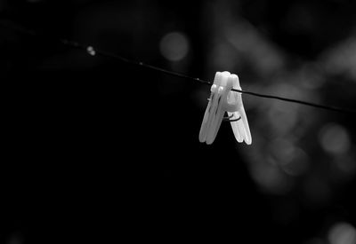 Close-up of clothespins on water