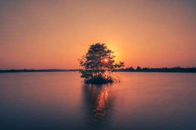 Silhouette tree by lake against sky during sunset