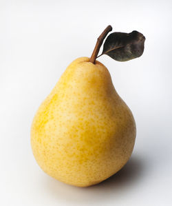 Close-up of fruit against white background