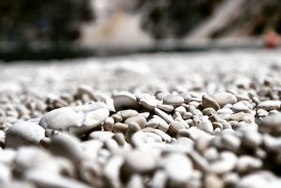 Close-up of stones on pebbles