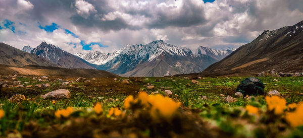 Scenic view of field and snow  mountains against sky with flowers