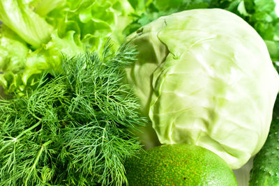 Close-up of cabbage