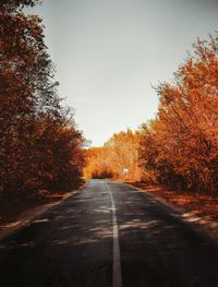 Empty road along trees