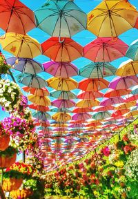 Low angle view of colorful umbrellas