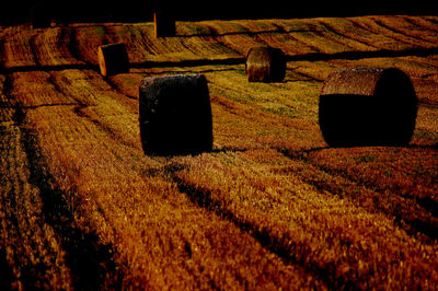 Hay bales on field