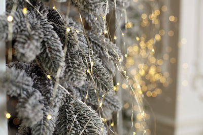 Close-up of christmas decoration