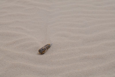 Rusted bullet in the sand