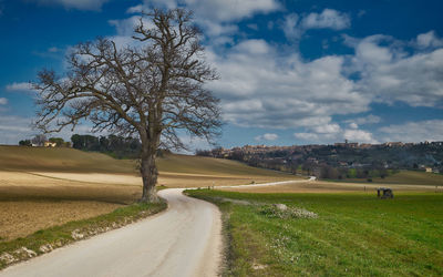 Road amidst trees against sky