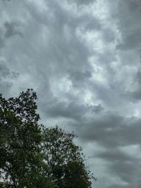 Low angle view of trees against cloudy sky