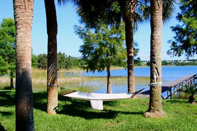 Scenic view of lake by trees against sky