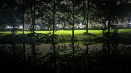 Scenic view of lake by trees at night