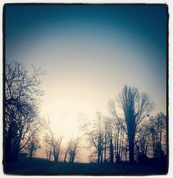 Silhouette of trees against clear sky during sunset