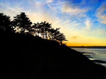 Silhouette trees by sea against sky during sunset