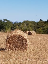 Hay bales on field against clear sky