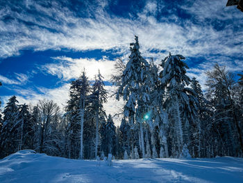 snow