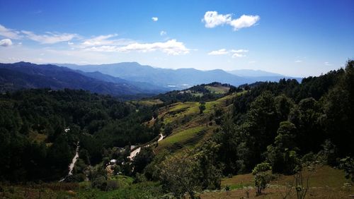 Scenic view of green landscape against sky