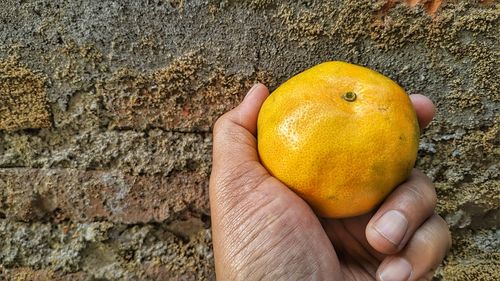 Close-up of hand holding yellow fruit against wall