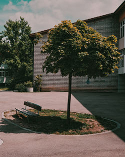 Empty bench by tree against buildings in city