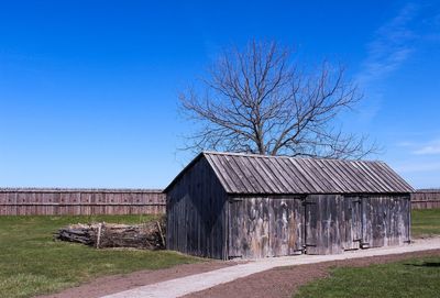 Tree by built structure against blue sky