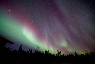 Low angle view of aurora borealis in sky at night