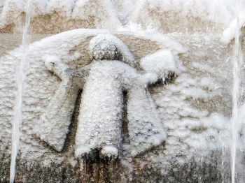 Close-up of statue during winter