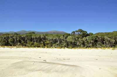 Scenic view of beach against clear blue sky