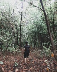 Rear view of man walking on footpath in forest