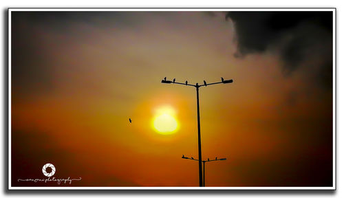Low angle view of silhouette bird flying against sky