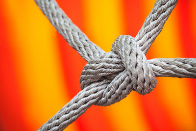 Close-up of tied ropes