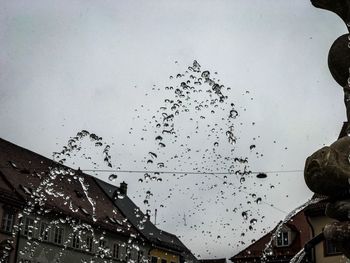 Low angle view of birds flying against sky