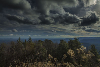 Scenic view of landscape against cloudy sky