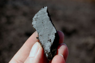 Close-up of human hand holding leaf