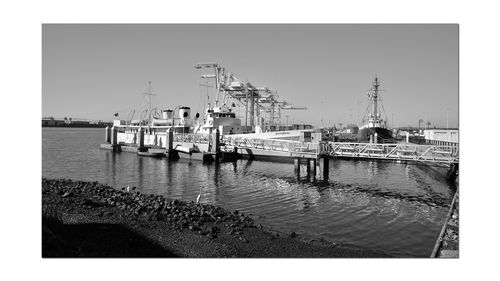 Sailboats moored at harbor against clear sky